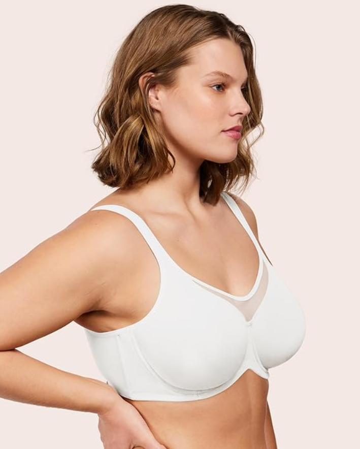 Filled Minimizer Bra - Reshipment